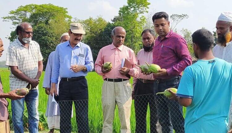 শিশির