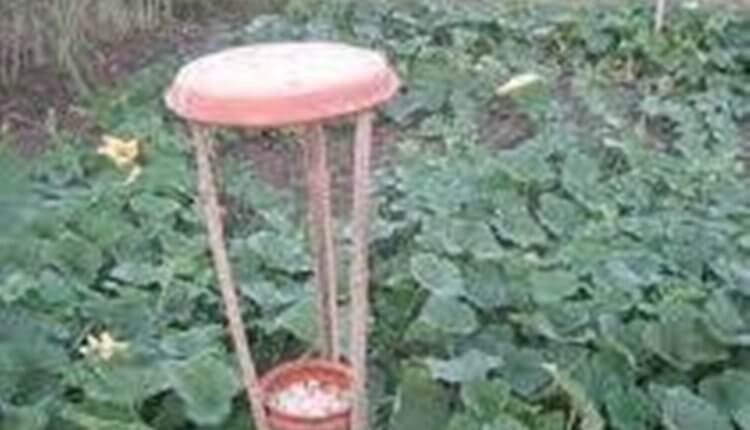 বিষটোপ
